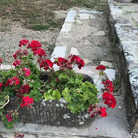 Joy Apartamento Antella