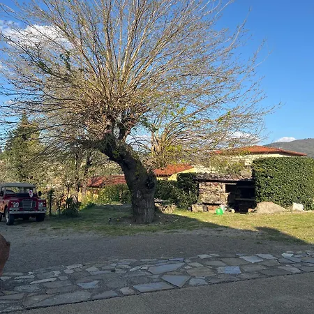 Apartamento Joy Antella